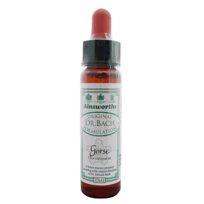 Ainsworths Gorse 10ml