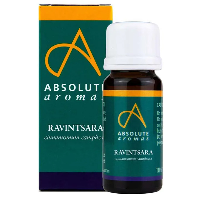 Absolute Aromas Ravintsara 10ml