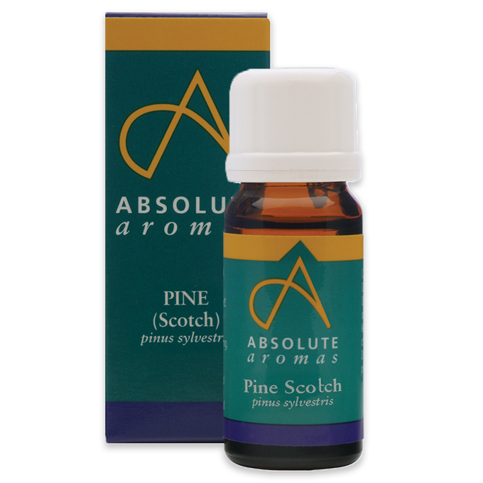 Absolute Aromas Pine Scotch 10ml